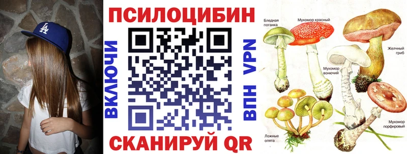 Купить где  Лобня  Псилоцибиновые грибы Magic Shrooms 